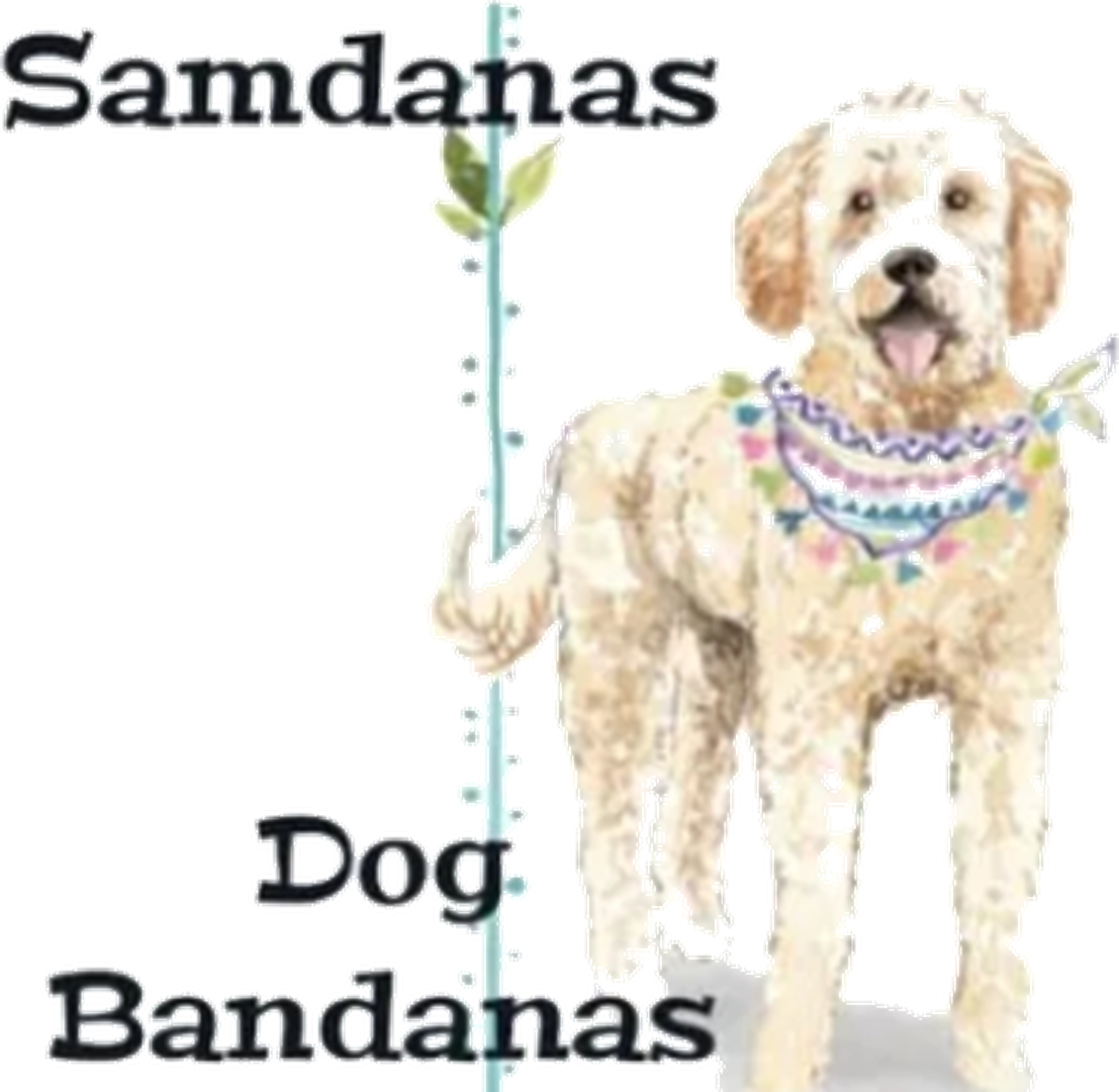 Samdanas Bandanas