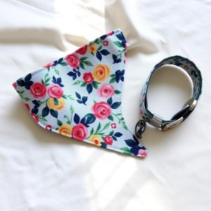 Matching Bandana & Collar Set